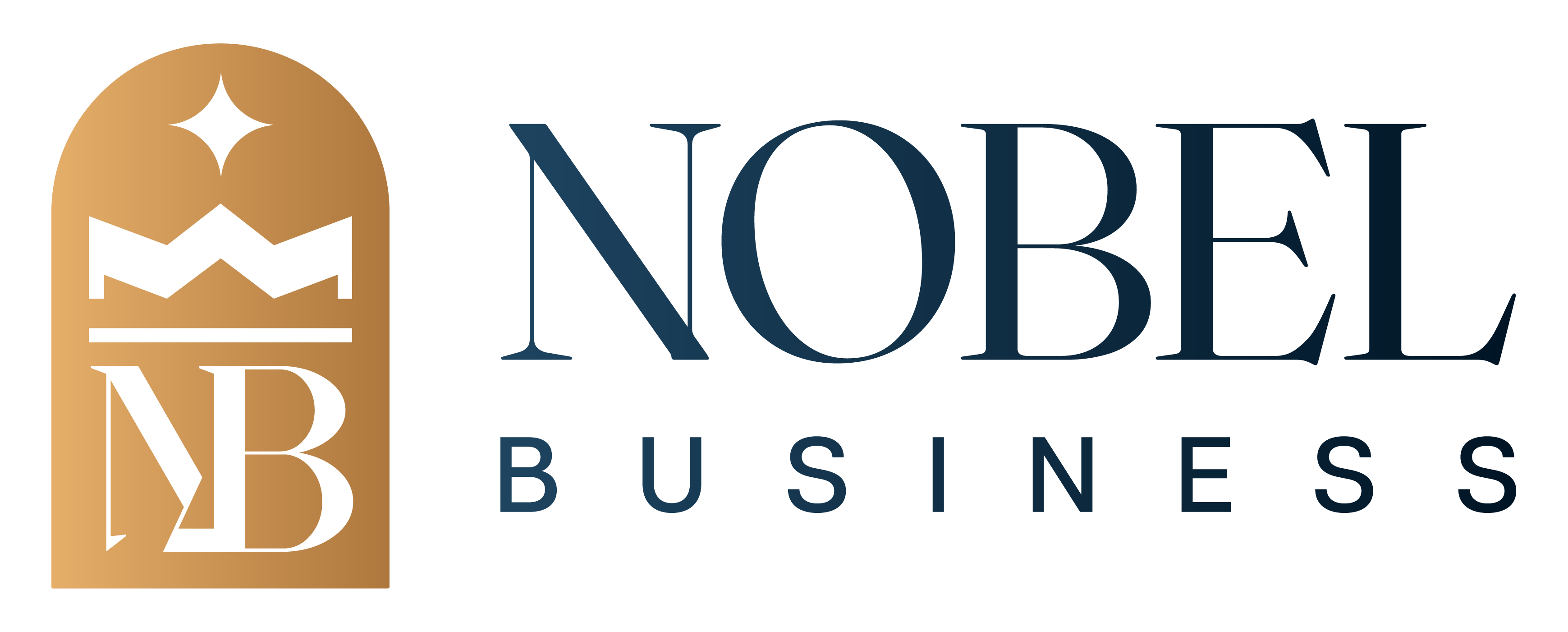 NOBEL BUSINESS